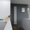 Вертикальный радиатор Brandoni VC10-14 — изображение 5